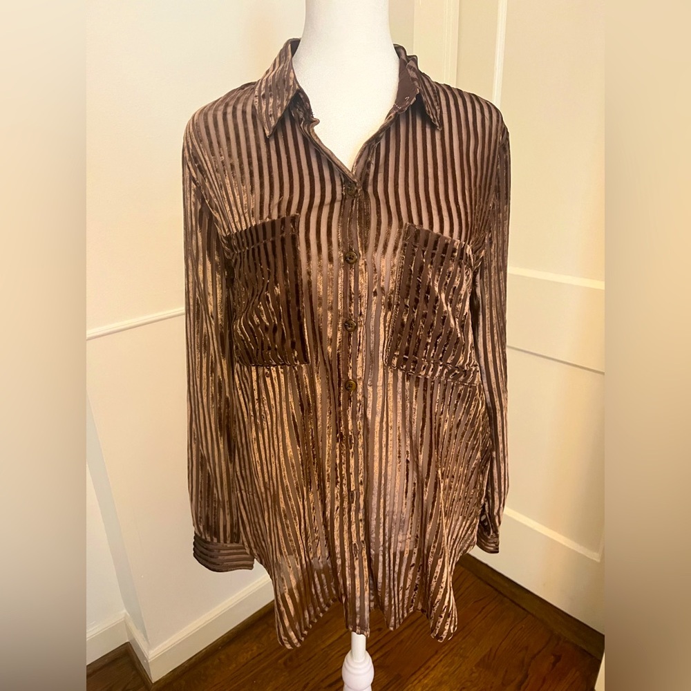 Anthropologie Pilcro Brown Striped Button-Up Blouse